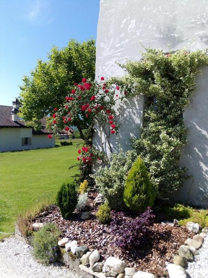 B&B La Casa Di Loretta Paderno Exteriör bild